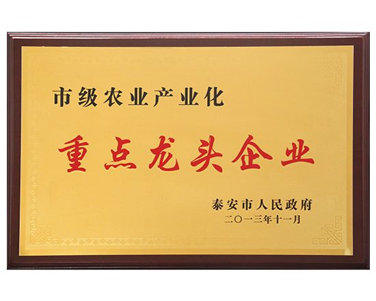 市級重點龍頭企業(yè)